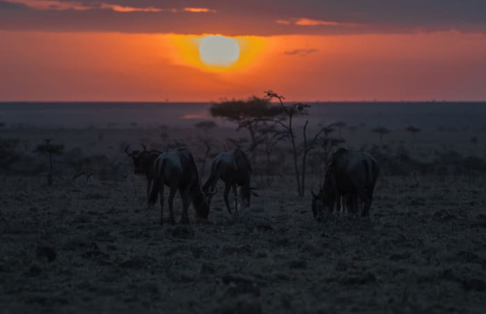 BK8I9775 - ARTICLE.jpg